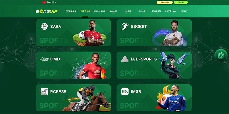 Bongvip Cá Cược Esports Ai Nên Tham Gia Và Khi Nào